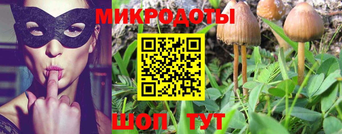 Псилоцибиновые грибы Psilocybine cubensis Клин
