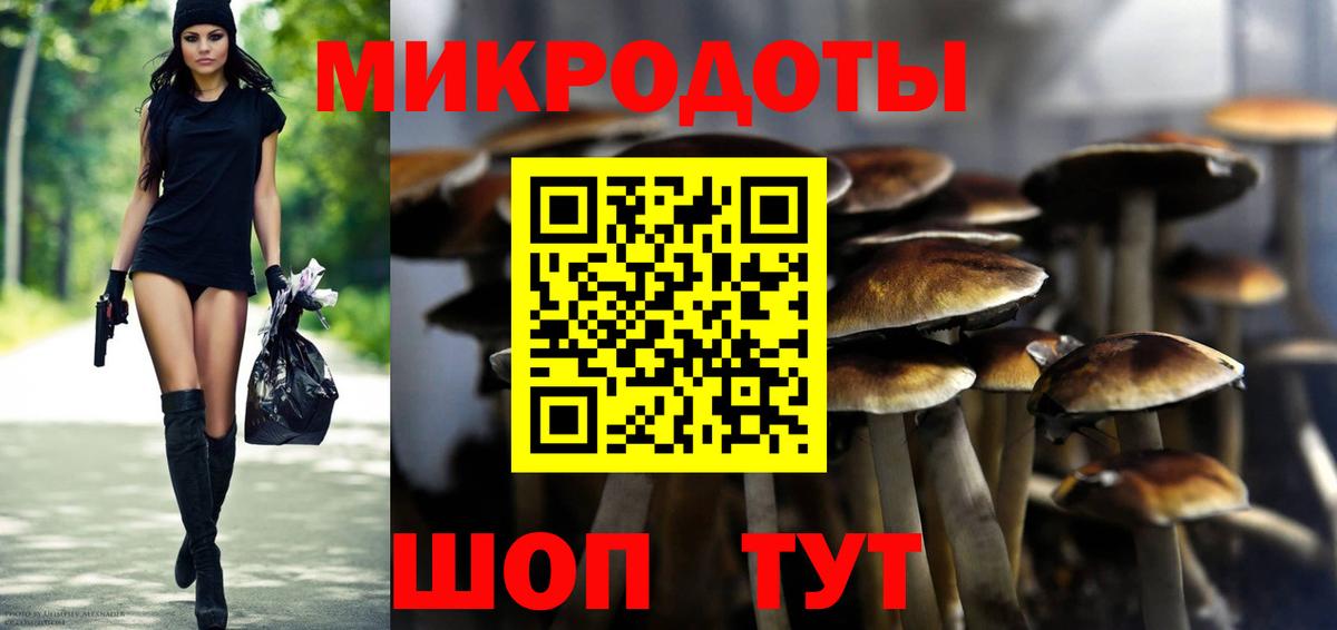 Псилоцибиновые грибы Psilocybine cubensis  Галлюциногенные грибы MAGIC MUSHROOMS  Вход с VPN  Клин 